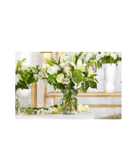 Classic Ivory