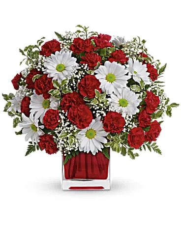 Red And White Delight